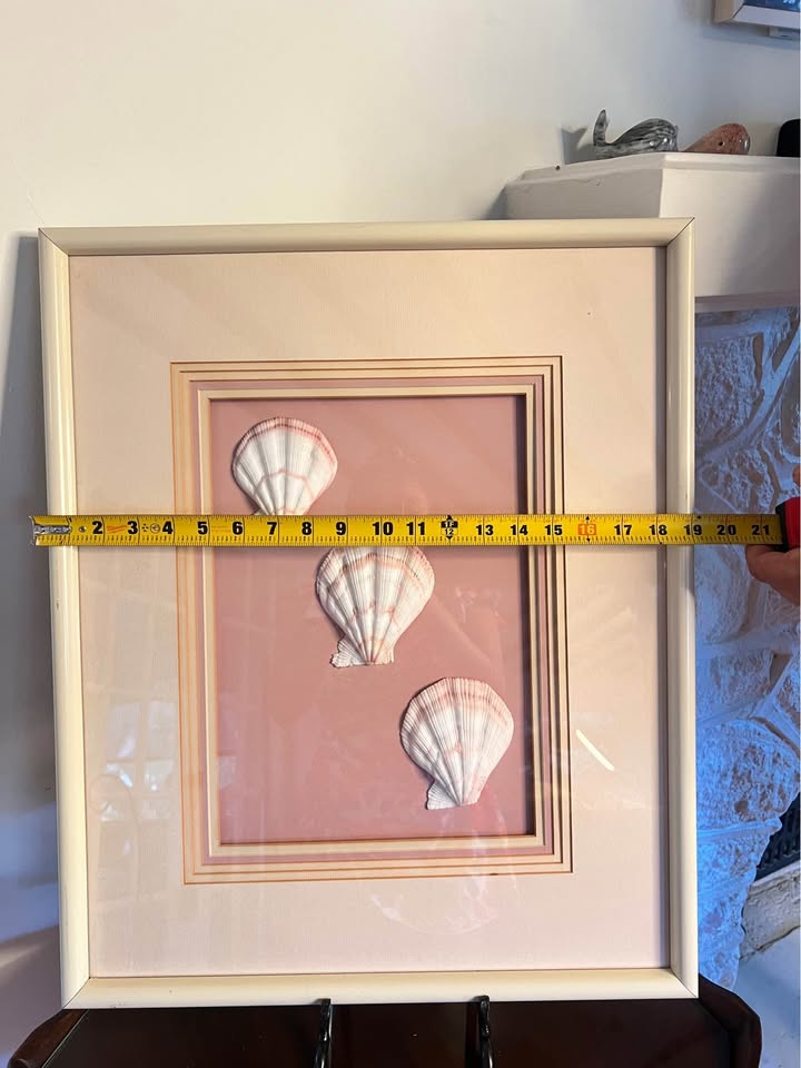 Vintage Framed Seashell Art | Blush Pink Coastal Shadow Box, gallery view 2