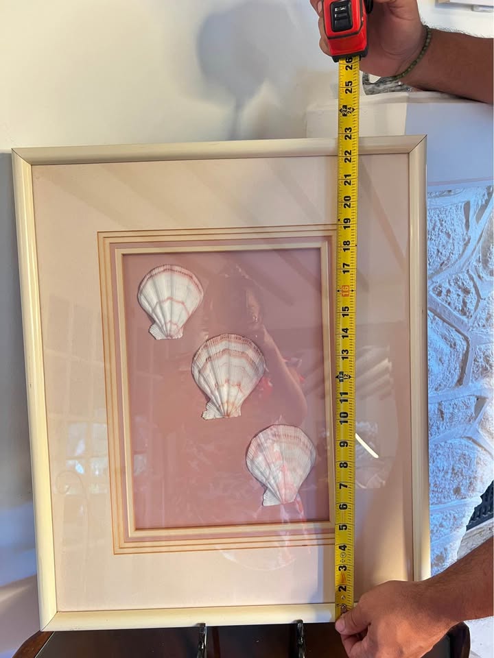 Vintage Framed Seashell Art | Blush Pink Coastal Shadow Box, gallery view 3
