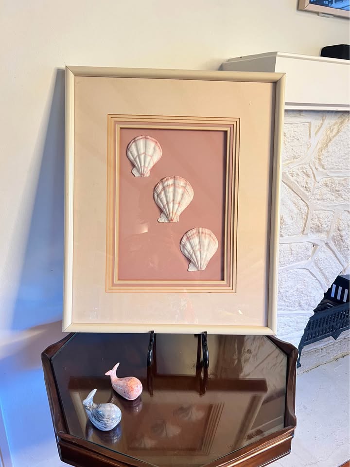 Vintage Framed Seashell Art | Blush Pink Coastal Shadow Box, gallery view 4