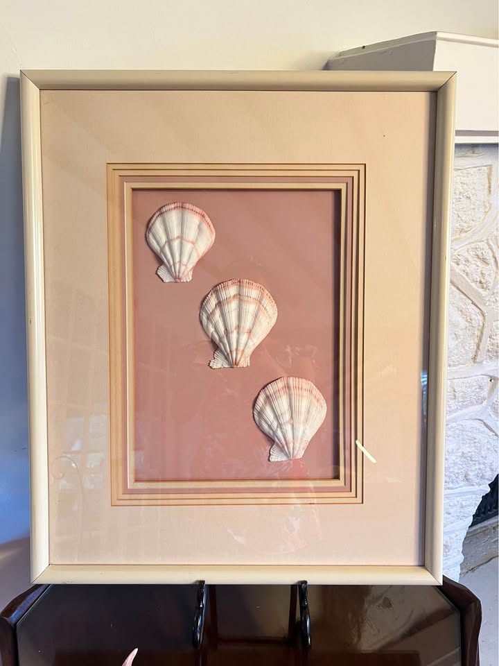 Vintage Framed Seashell Art | Blush Pink Coastal Shadow Box, gallery view 5