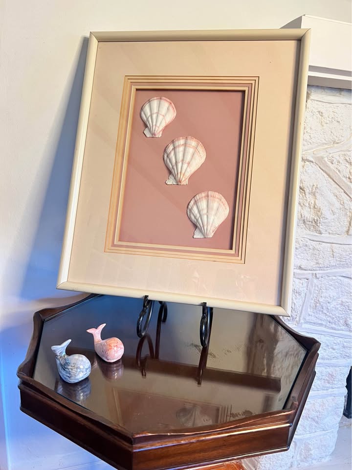 Vintage Framed Seashell Art | Blush Pink Coastal Shadow Box, gallery view 8