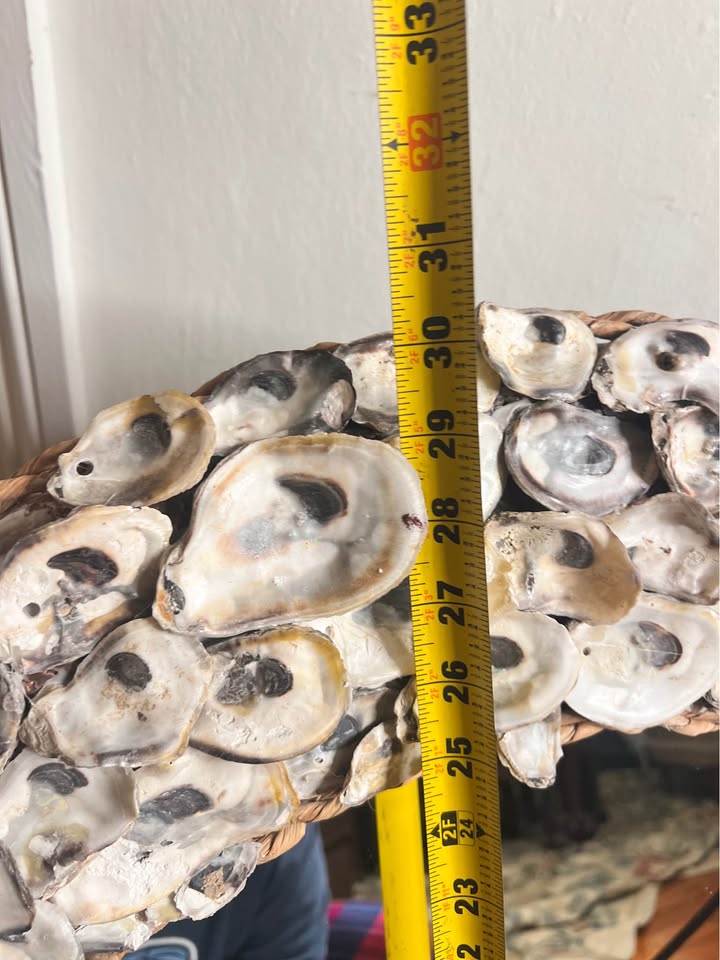 Large Oyster Shell Mirror | Round Coastal Statement Mirror, gallery view 2